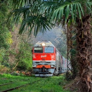 Железнодорожные туры из Перми - Железнодорожный тур в Абхазию из Перми